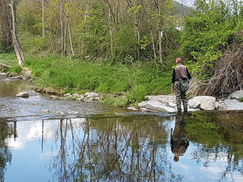 Passeggiata in mezzo alla natura